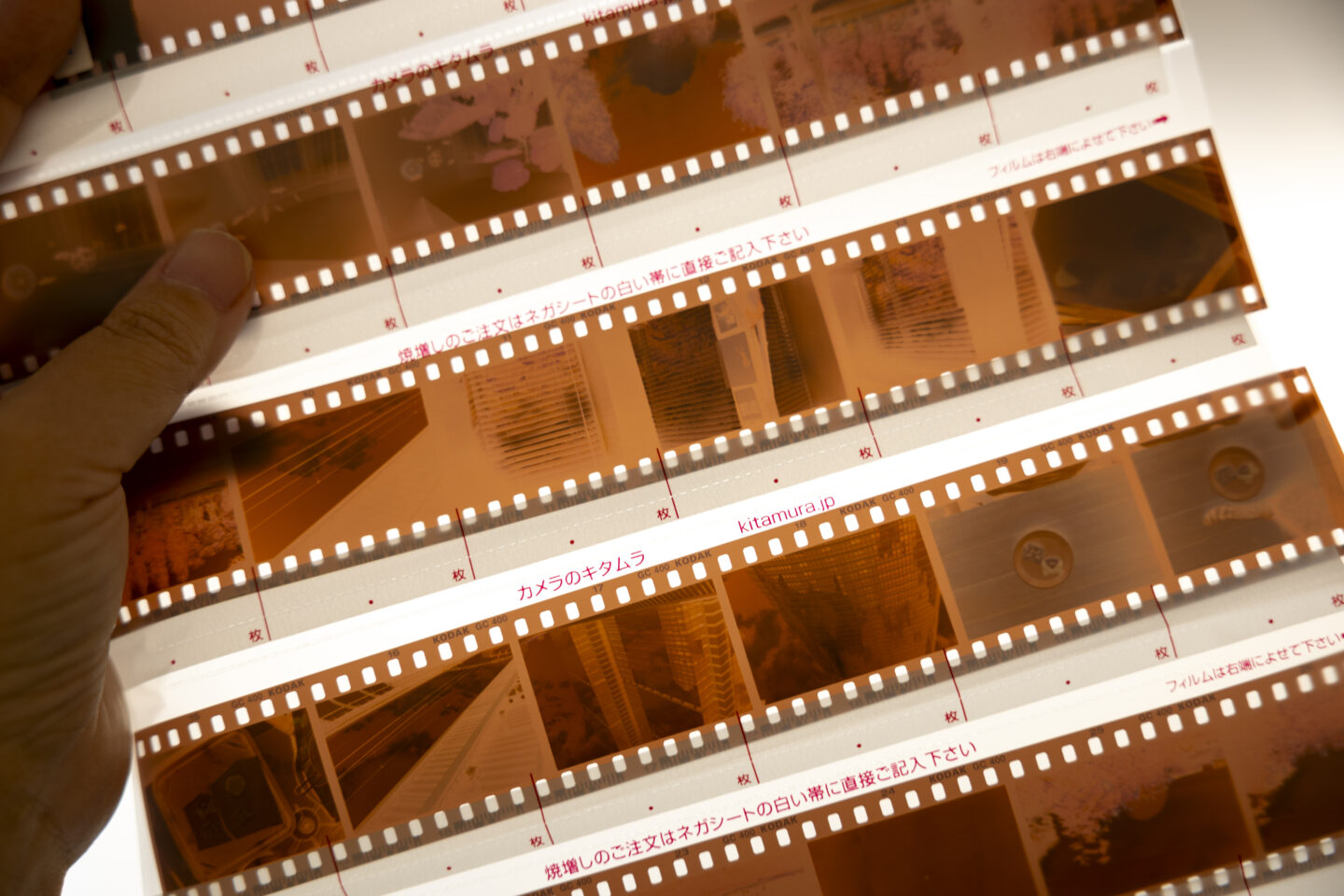 フィルムカメラ好き必見！基本を知って、もっとフィルム写真を楽しもう