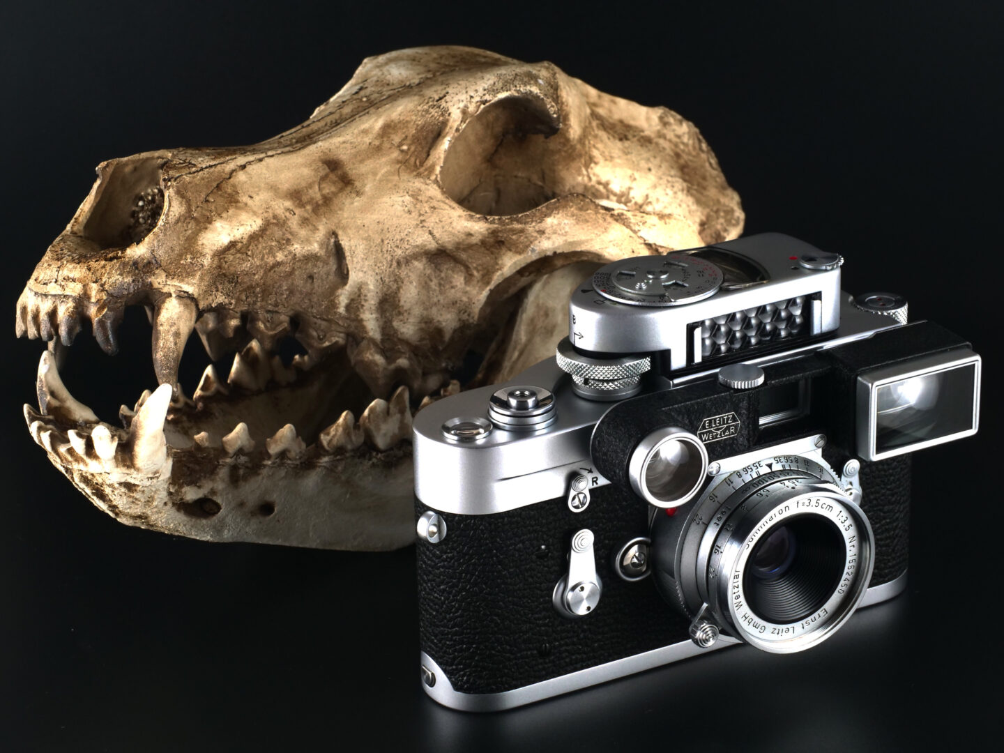 映画の中の、あのカメラ｜03 キングコング：髑髏島の巨神(2017) ライカ