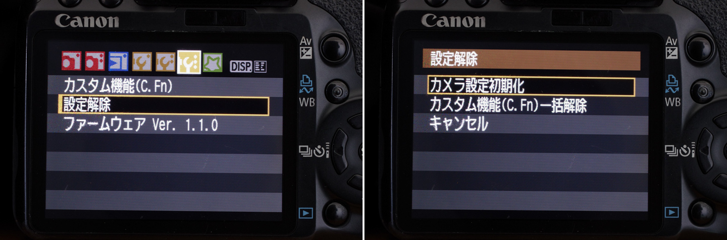 ネイチャースナップのすすめ｜格安中古で学ぶ一眼レフの基礎【ピント編