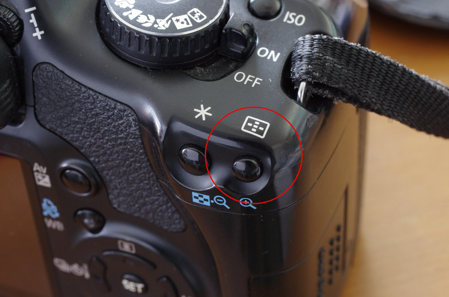 ネイチャースナップのすすめ｜格安中古で学ぶ一眼レフの基礎【ピント編