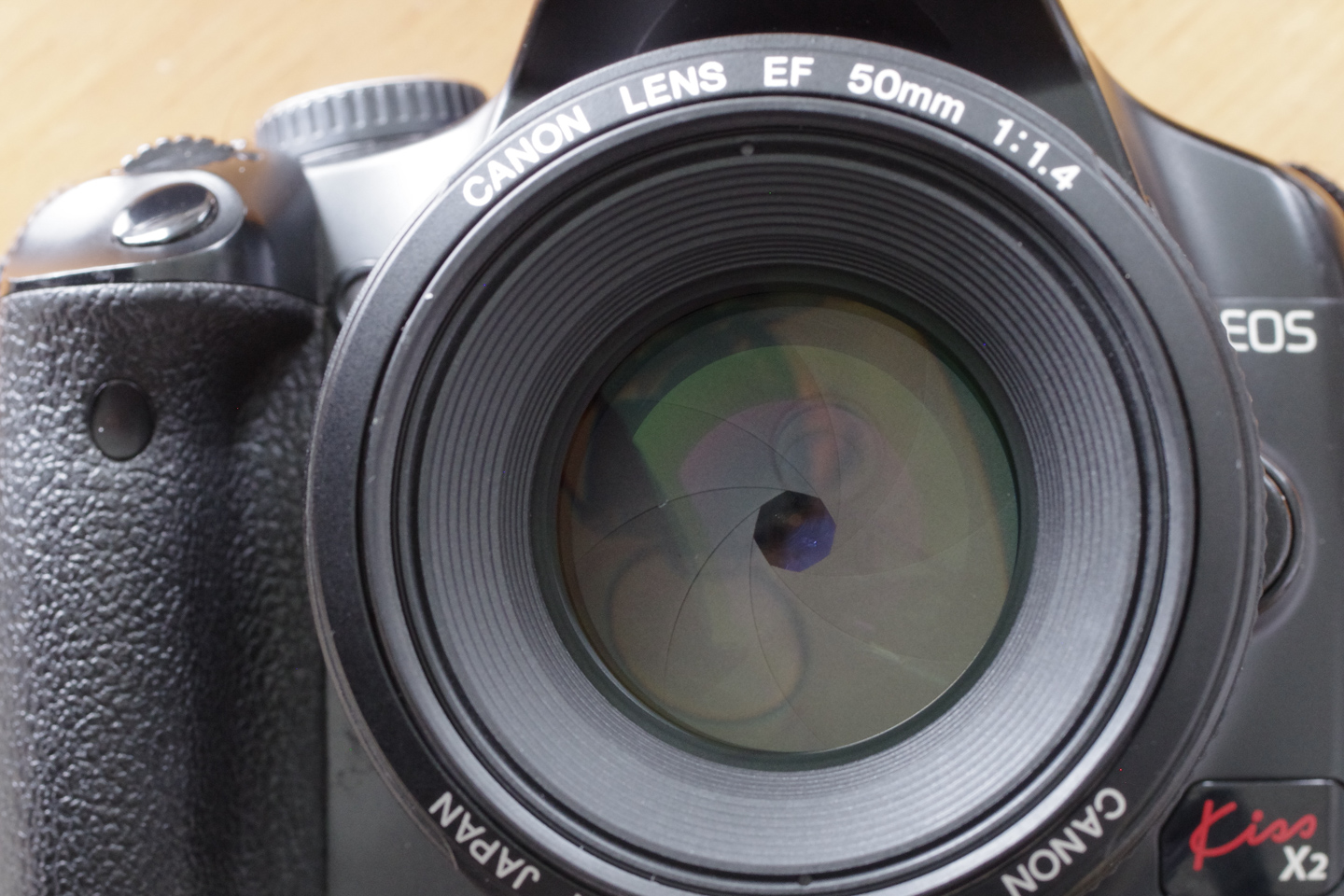 ネイチャースナップのすすめ｜格安中古で学ぶ一眼レフの基礎【露出編