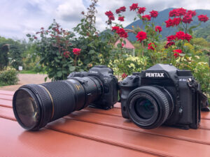 ネイチャースナップのすすめ｜マクロレンズを楽しもう | ShaSha