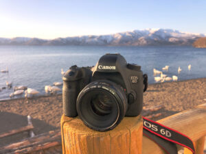 ネイチャースナップのすすめ｜格安中古で学ぶ一眼レフの基礎【ピント編