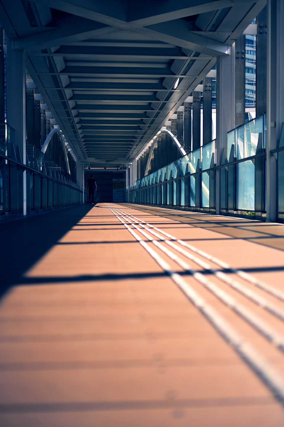 ニコン NIKKOR Z 40mm f/2 レビュー｜クリアーな描写でリズミカルに