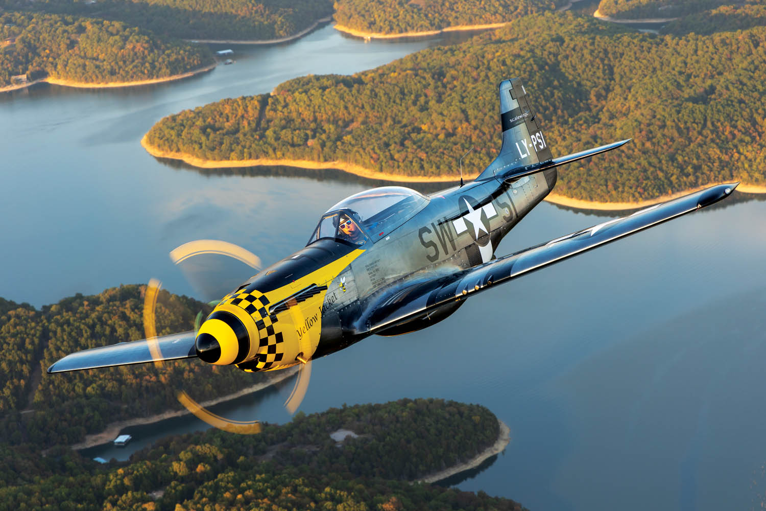 ScaleWings SW-51 Mustang - KITPLANES