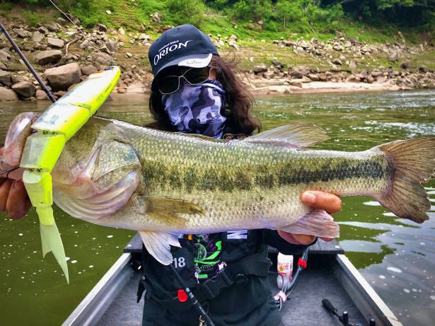 オライオンブラックローズ。菊元的解説。 | 菊元俊文.jp