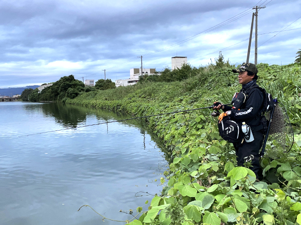エバーグリーン アバンギャルド マイティスラッガー87（ZAGS-87M/MH