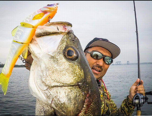 ジャッカル ダウズスイマー220SF ソルトカラー 220mm/3.6oz(約102g