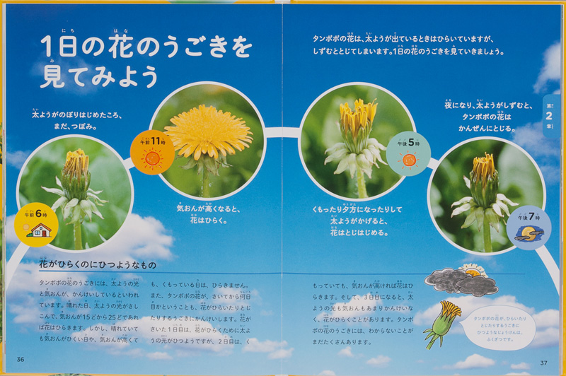 タンポポのずかん - 金の星社