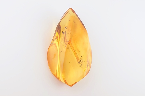 虫入琥珀原石 - 久慈琥珀オンラインショップ