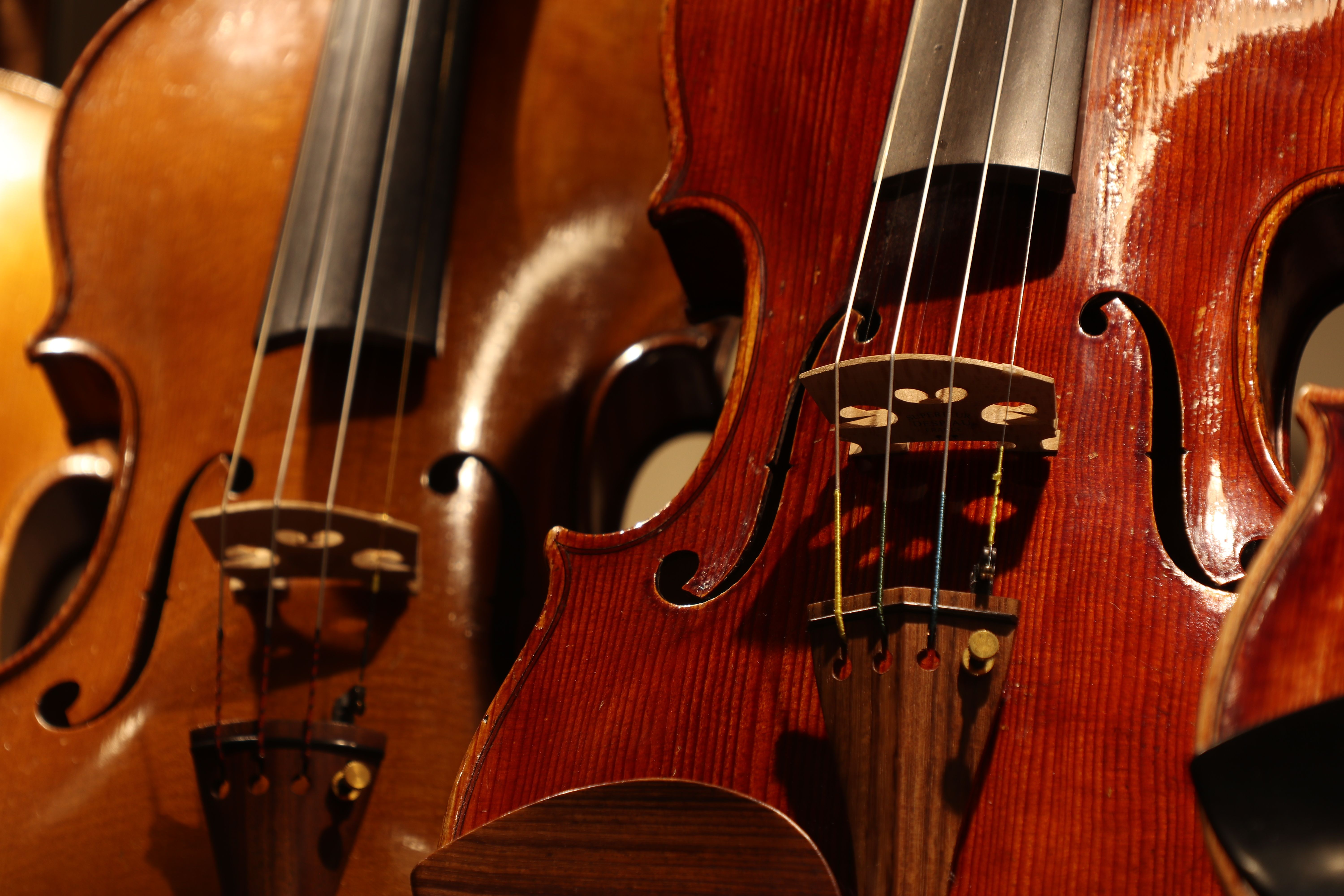 新発見！エレクトリック弦楽器の世界-The Realist編 | クロサワ楽器店