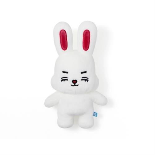 SEVENTEEN MINITEEN Plush – Official Choosable Member Characters