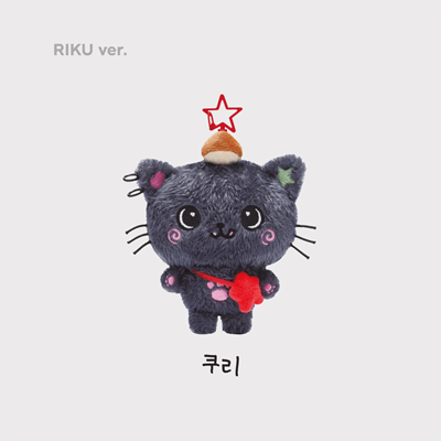 NCT WISH [LET'S GO STEADY] OFFICIAL MD WISH DOLL - Kpop USA