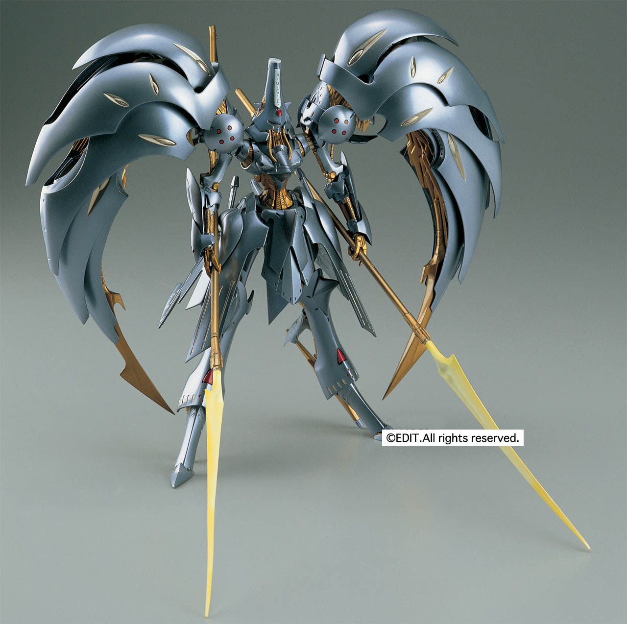 製品情報 限定商品/AUGE