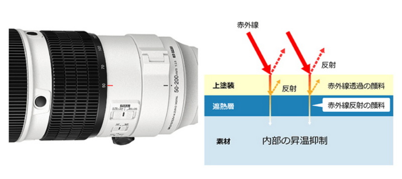 M.ZUIKO DIGITAL ED 50-200mm F2.8 IS PRO Hobby's World｜野鳥撮影や
