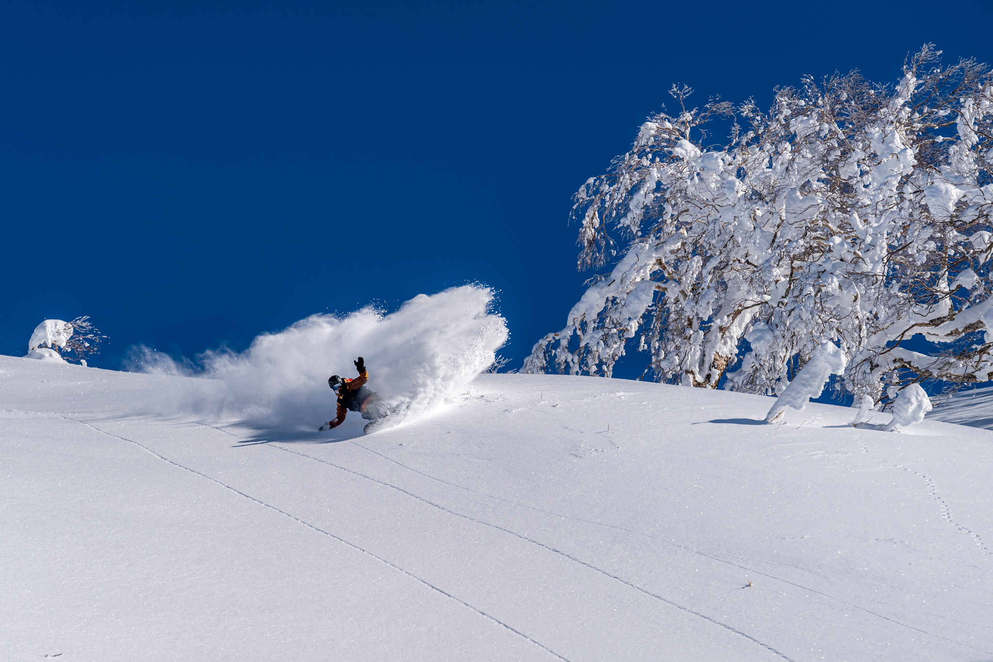 尻別岳ヘリスキー：北海道バックカントリークラブ