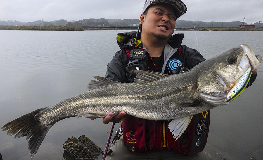 Fishman/フィッシュマン】Beams CRAWLA 9.2L+（ビームス クローラ