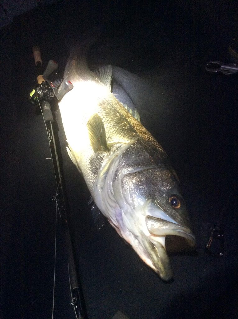 ID/individual development】FTB for THE BEAST 7.8ft Power 15