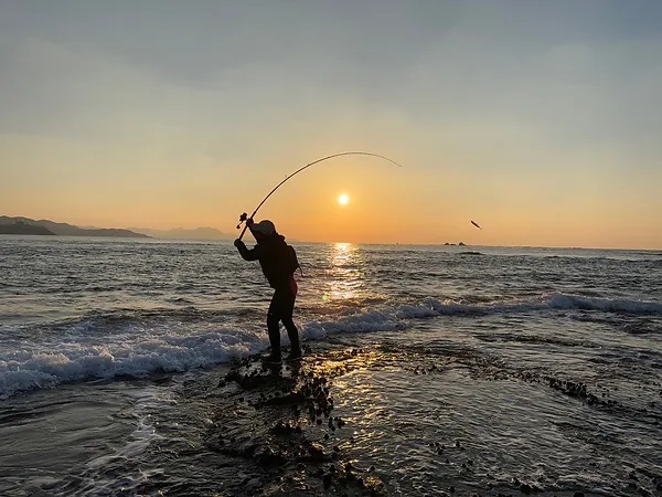 TRANSCENDENCE] Mareflipp 102S (Rod)