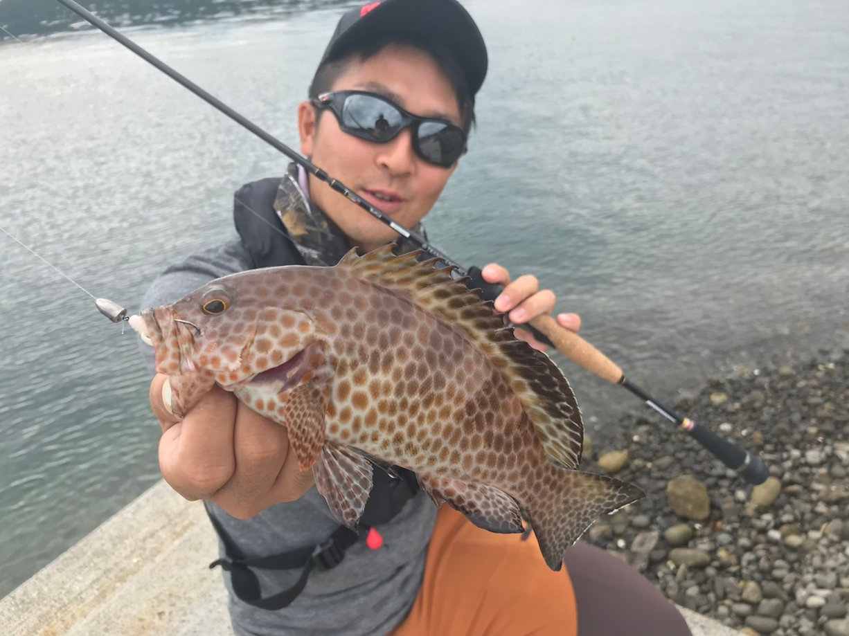 TRANSCENDENCE/トランスセンデンス】Botia 60S+ Rev.2 / ボティア