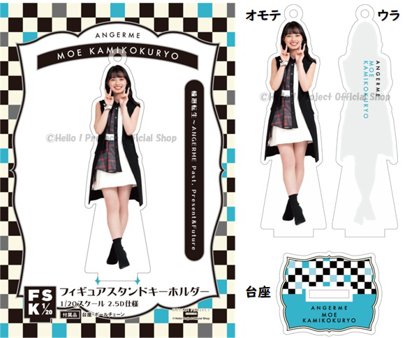 上國料萌衣 卒業記念 A4クリアファイル／ポストカード／アクリル