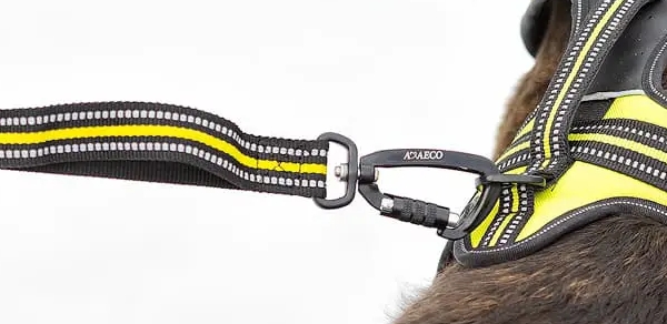 アクサエコ エラスティックドッグリーシュ AXAECO（ショックアブソーブ