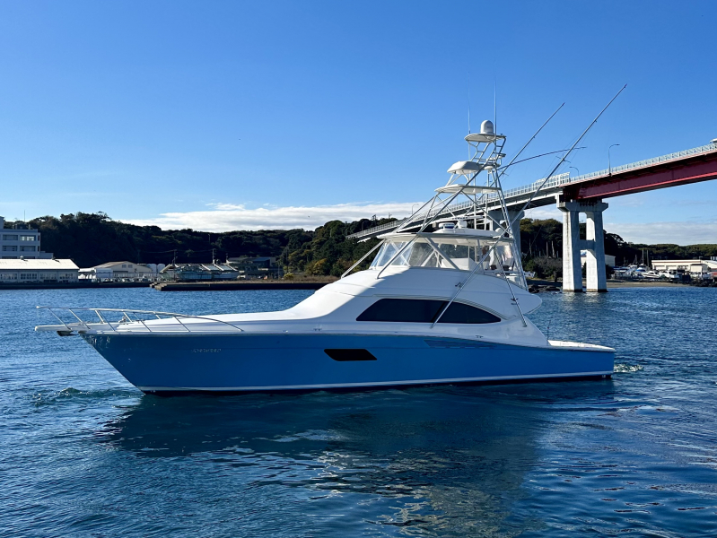 HUMBOARDS Street Sweeper　中古品 (ハムボード)用