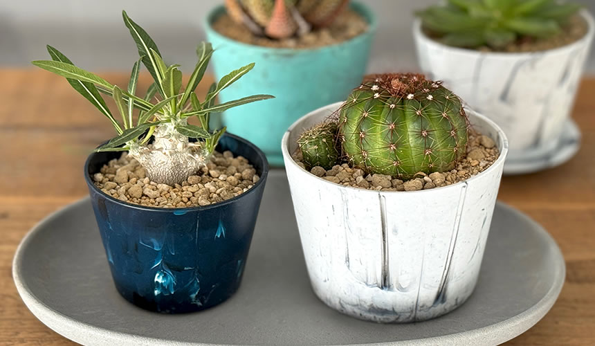 八幡化成株式会社』|Marble Garden Pot / Cup & Saucer マーブル