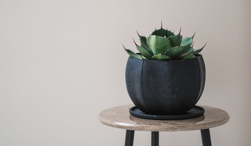 八幡化成株式会社』|Sen Plates セン プレート 丸