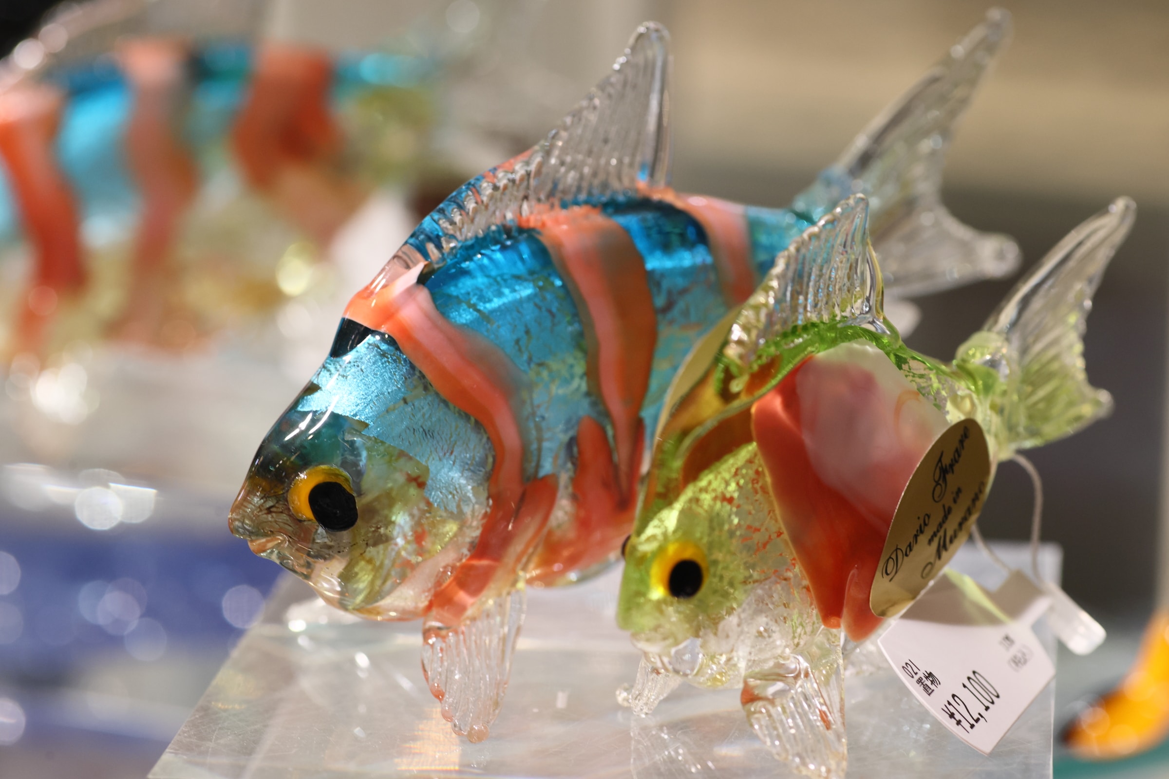 ガラスの魚 | 箱根ガラスの森美術館 ブログ | ヴェネチアン・グラス