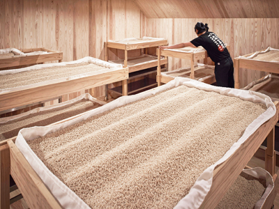 山ねこ 芋焼酎 25度 / 尾鈴山蒸留所 / はせがわ酒店 オンライン店