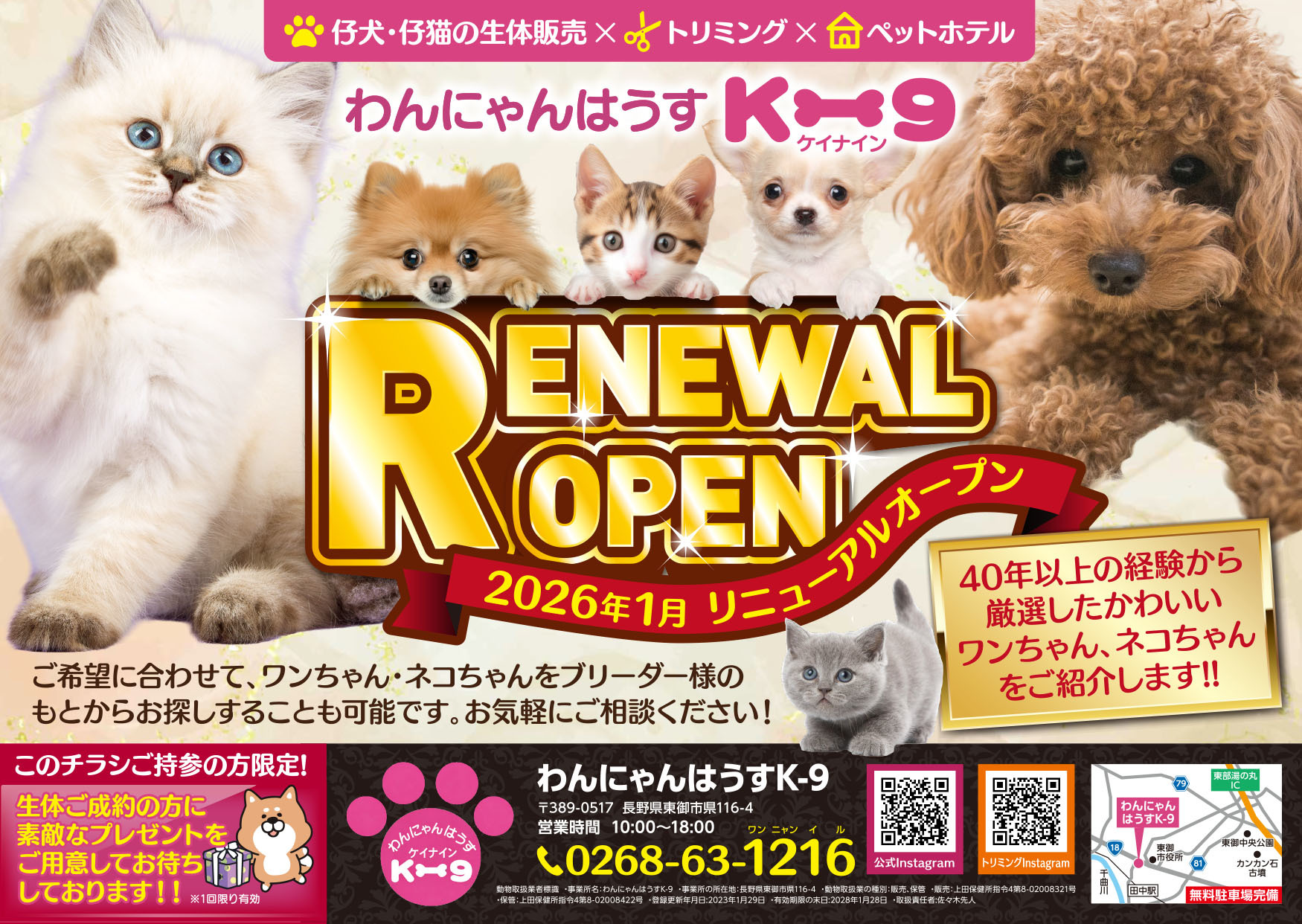 長野県東御市｜わんにゃんはうすK-9｜ペットショップ/トリミング