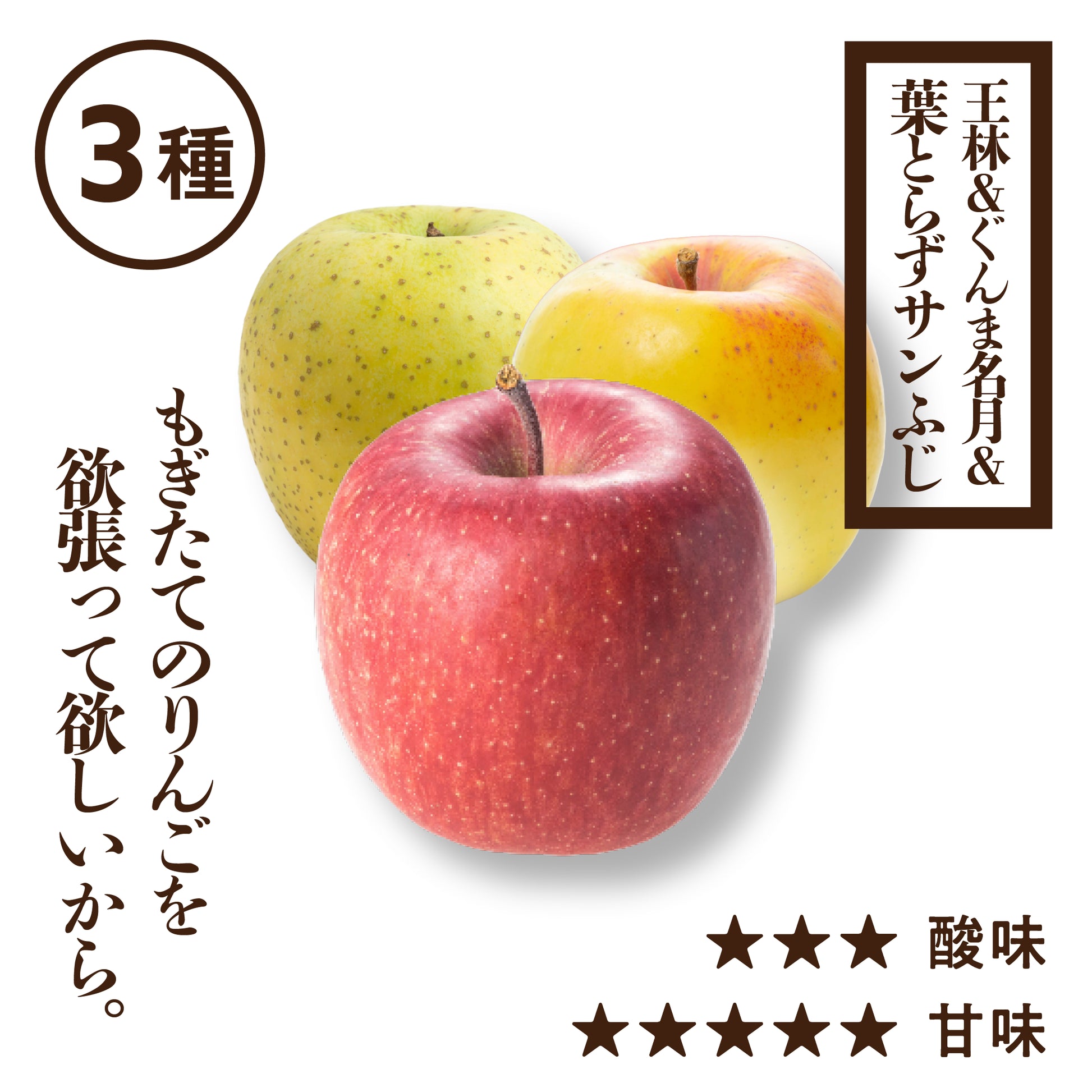 プレミアム3種詰め合わせ（ふじ、王林、ぐんま名月） | 産地直送通販