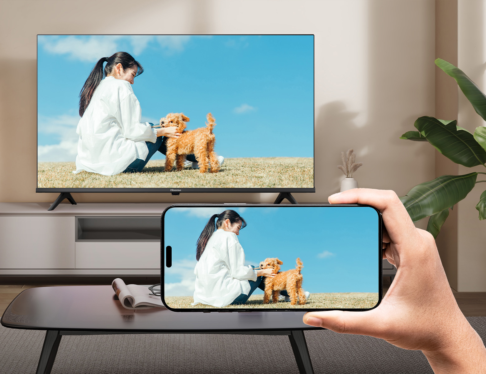 A46N | ハイセンスジャパン株式会社