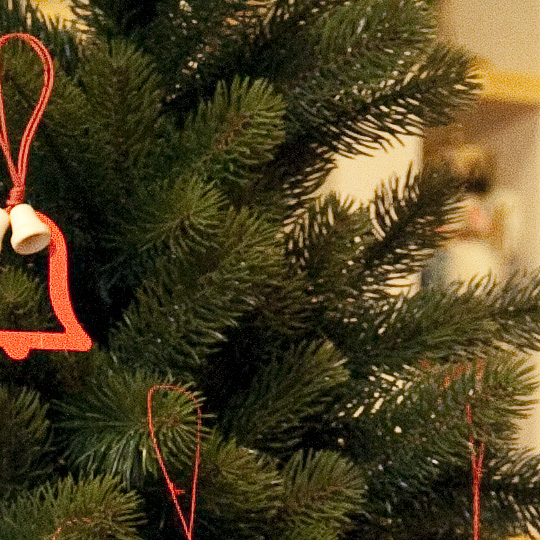 シュヴァルツヴァルトツリー120cmH：生活・くらし：百町森