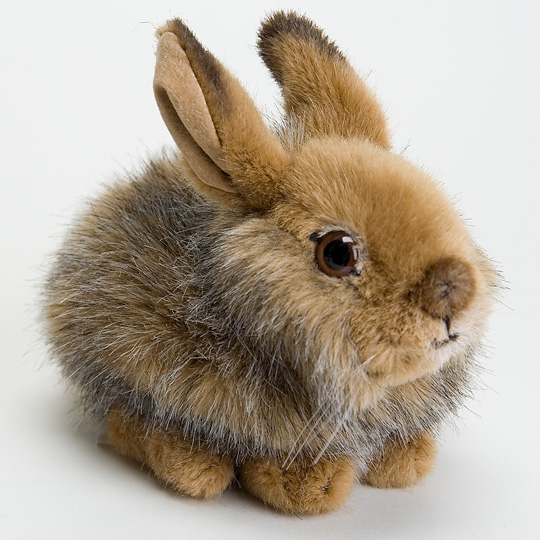 5090 野うさぎの子：おもちゃ：百町森