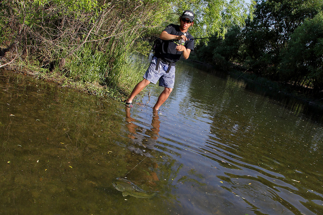 ロデオライド リバイバー 61UL Anthem | IMAKATSU