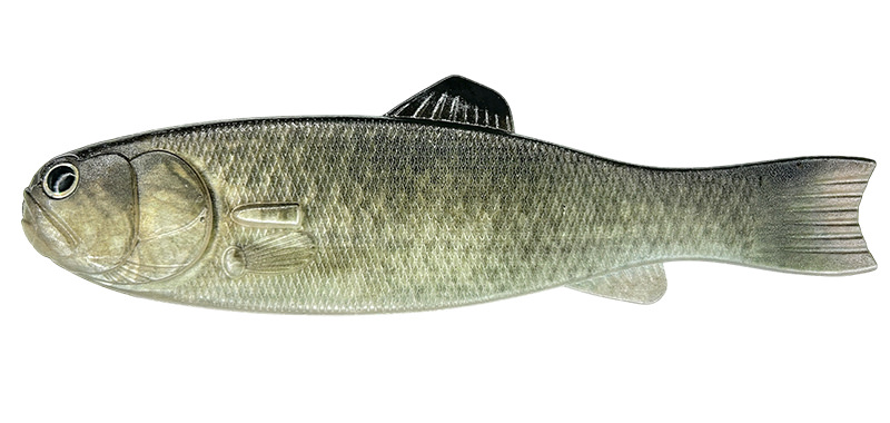 BASSWORM145 | IMAKATSU