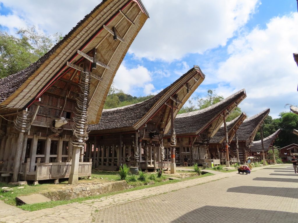 インドネシア スラウェシ島 トラジャ族のイカット7