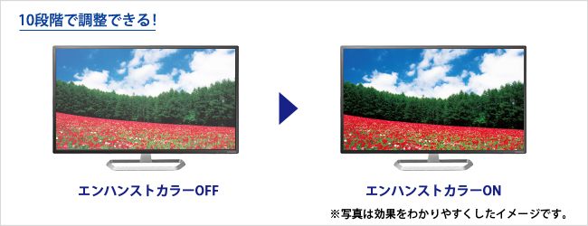 EX-LD321DB | 広視野角ADSパネル採用 DisplayPort搭載31.5型ワイド液晶