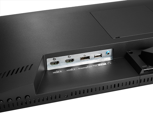 EX-LDGCWF291SDB | 広視野角ADSパネル採用＆WFHD解像度対応 29型