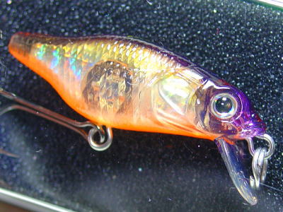 MEGABASS / X-30 MARUKIN (FLOATING) | IchibanTackle.com