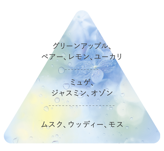 ボディミスト 雨色の香り | フィアンセ - 井田ラボラトリーズ