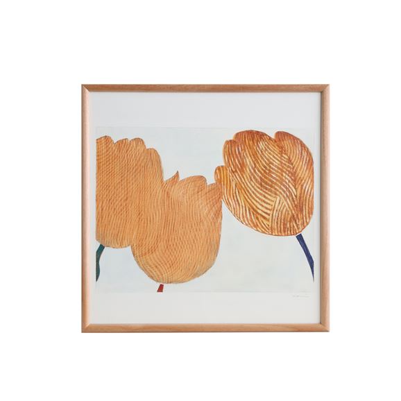 coricci コリッチ｜IDEE SHOP Online