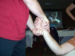 DVD】神経系モビライゼーション [下肢編] ｜ 医道の日本社(公式