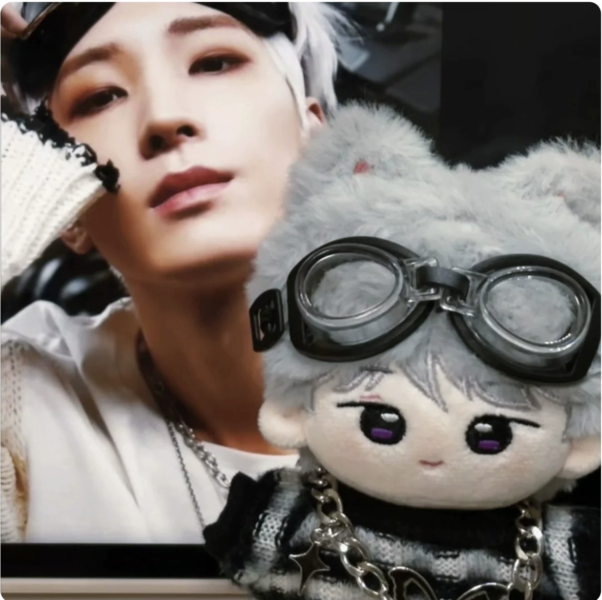 10cmdoll】 SEVENTEEN ウォヌ ぬいぐるみ 017 WONWOO - I DOLL STYLE