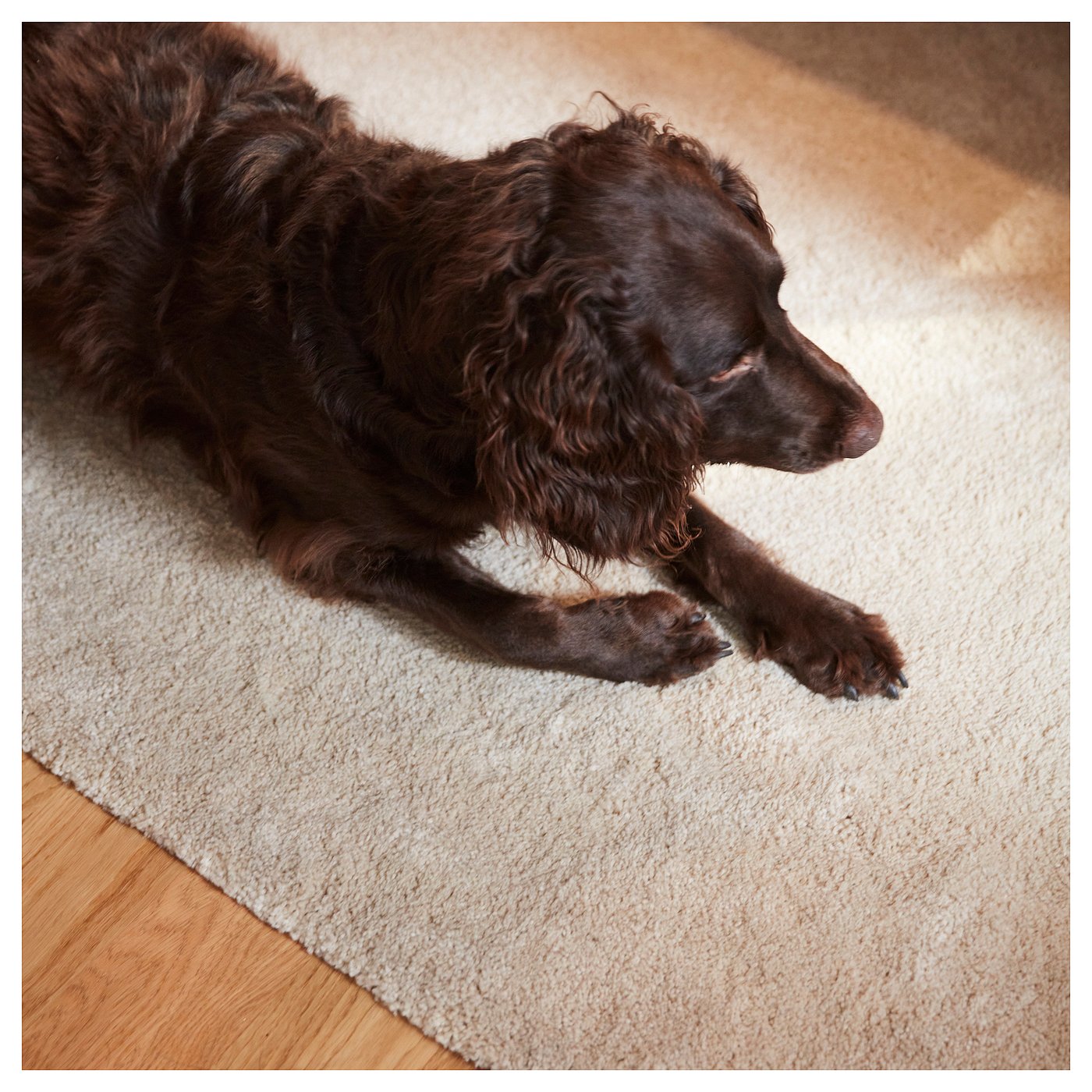 STOENSE ストエンセ ラグ パイル短, ミディアムグレー, 130 cm - IKEA