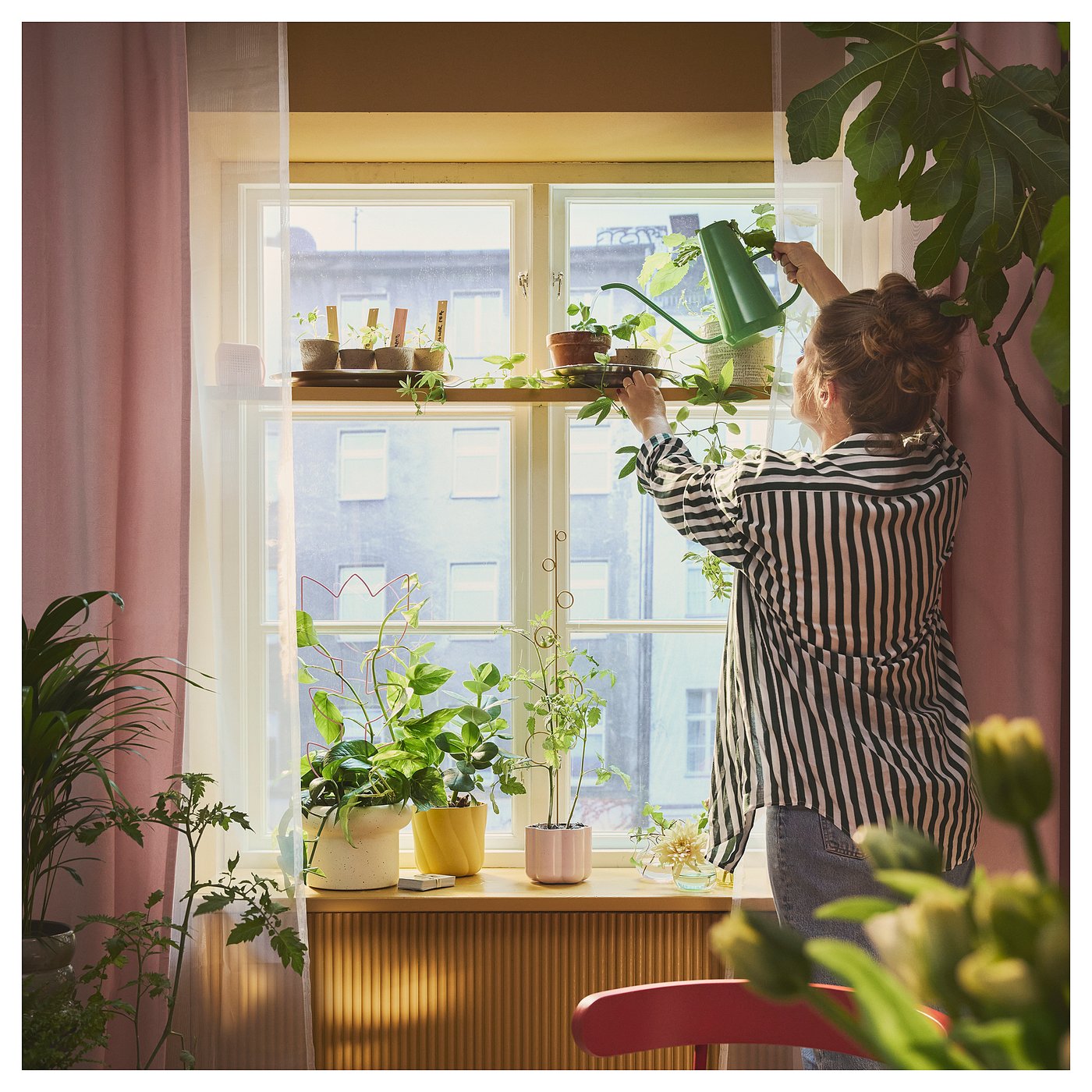 doftrips-watering-can-