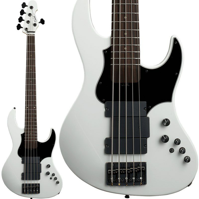 EDWARDS】日本を代表するテクニカル・ベーシストIKUO氏の愛用機AMAZE-5