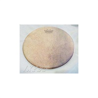 パーカッション パンデイロ REMO 商品一覧｜イケベ楽器店オンラインストア